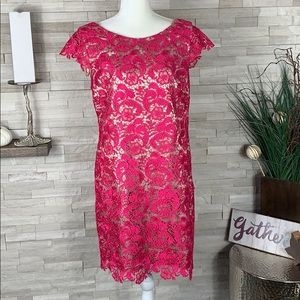 Eliza J EUC Magenta Lace Overlay Dress Size 12 🌸